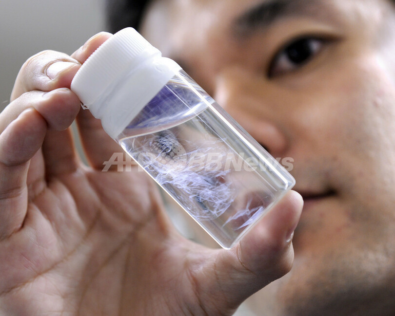 超薄ナノシートのばんそうこう、早稲田・防衛医大チームが開発
