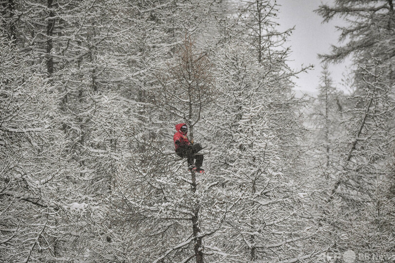 【今日の1枚】ここまでするか! コーチの覚悟