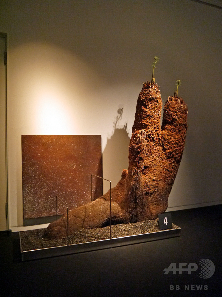 「ウルトラ植物博覧会」が銀座にカムバック