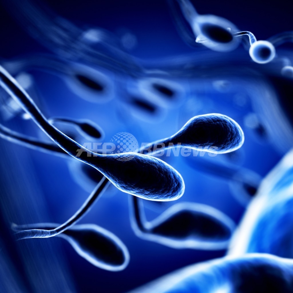 男兄弟が多いほど精子は速く泳ぐ!? 研究 男兄弟が多いほど精子は速く泳ぐ!? 研究