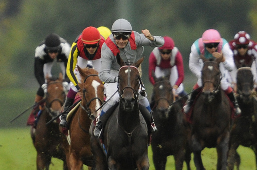 オルフェーヴル2着、キズナ4着で日本馬またも優勝ならず 凱旋門賞 写真