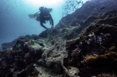 「幽霊」漁網回収で一石二鳥、生物保護とコロナ対策 タイの新事業