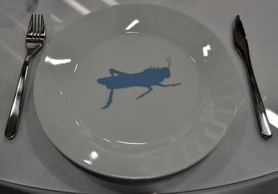 EU認定の昆虫食品で誤情報拡散 政治家も参戦