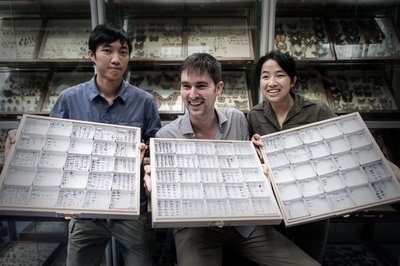 世界初の「アリ地図」公開、香港と沖縄の大学