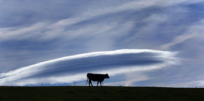 温暖化で雲に変化、亜熱帯乾燥地帯も拡大 衛星画像分析で明らかに
