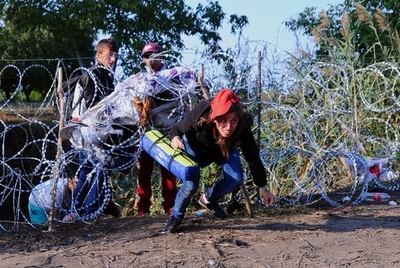 移民防ぐ有刺鉄線、セルビア国境に設置 ハンガリー