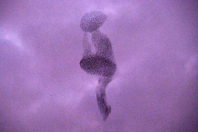 【今日の1枚】何に見える？ ムクドリの群れ 伊ローマ