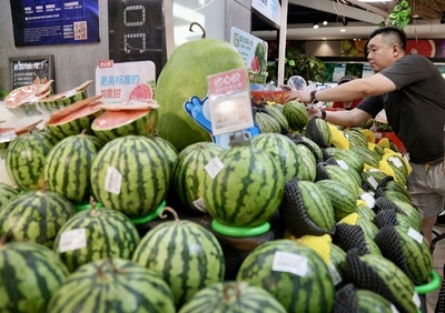 中国はスイカの年間生産量6000万トンで世界最大の生産・消費国