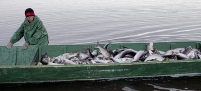 ロシアの漁船員11人、3か月ぶりに救助