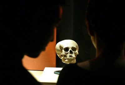 テディベアの中に人の頭蓋骨、運送業者が発見 メキシコ