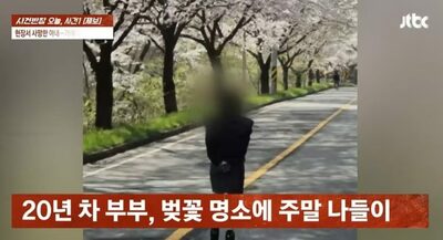 「桜がきれいね」と言った2秒後だった…韓国・飲酒常習犯の暴走車に命を奪われた40代母、遺族の涙と懲役6年への怒り