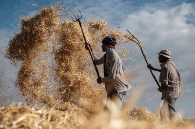 【今日の1枚】平穏な日々を守る野良仕事