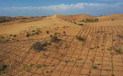 クブチ砂漠の砂防措置を強化 内モンゴル自治区