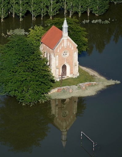 洪水からハリネズミを救出、ハンガリー