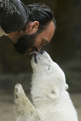 クヌート人気、衰え知らず - ドイツ