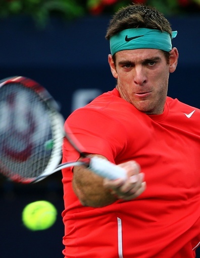 デルポトロ、約1年ぶりのツアー復帰を発表