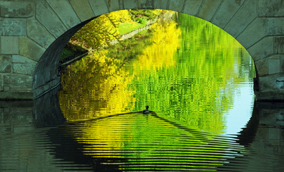 天気のいい日はアヒルも散歩？ポーランド