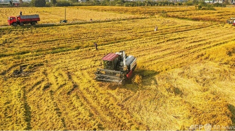 中国の食糧総生産量が過去最高を記録