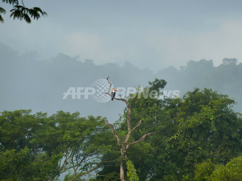 イグアス滝、水量ピーク迎える