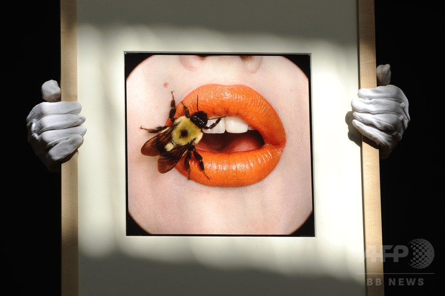 米スミソニアン美術館、アーヴィング・ペン回顧展開催へ 約20年ぶり