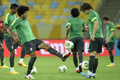 サッカーコンフェデレーションズカップ2013（Confederations Cup 2013）決勝のスペイン戦を控え、ブラジル代表が29日、決勝の舞台となるマラカナン・スタジアム（Maracana Stadium）で調整を行った。

調整に臨むブラジルのボンフィム・ダンテ（Dante Bonfim Costa Santos、左）とダビド・ルイス（David Luiz、右、2013年6月29日撮影）。(c)AFP/LLUIS GENE