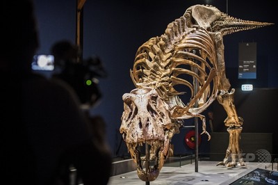 img_57e7b092e49090259cd5002c99