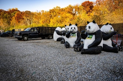 米首都動物園のパンダ3頭、もうすぐ中国返還 園内の像撤去