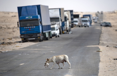 【今日の1枚】明日はわが身か、緊張高まる西サハラ