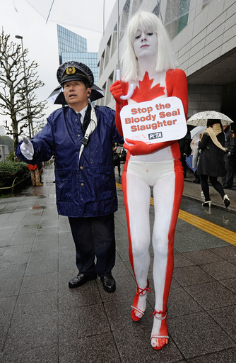 カナダ国旗のボディーペイントでアザラシ猟に抗議、PETA