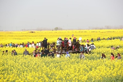 菜の花の海 江蘇・泰州