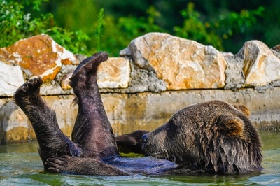 【今日の1枚】ザブンと水遊び、極楽～