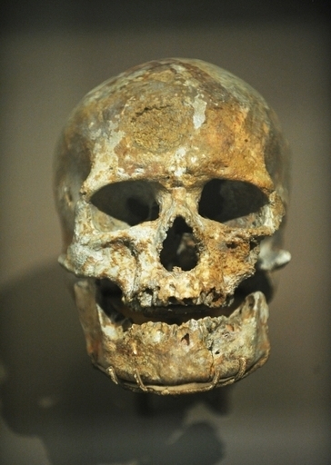 80万年前から寒冷地で生活、人類の移住史くつがえす発見か 英研究