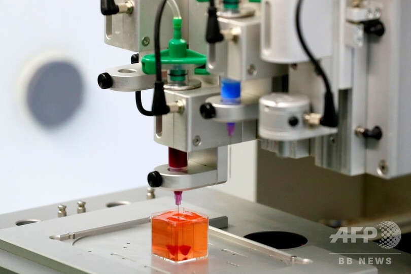 3Dプリンターで「ヒト組織備えた心臓」作製、世界初 イスラエル