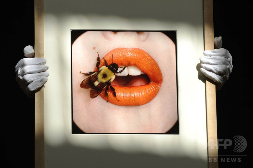 希少! Irving Penn: Beyond Beauty アーヴィング・ペン（Irving
