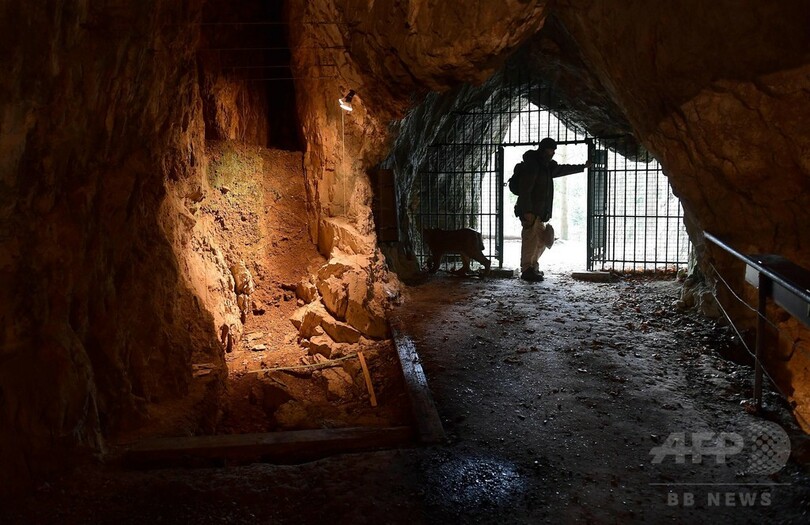 ネアンデルタール人が食人、ベルギーの洞窟遺跡から証拠