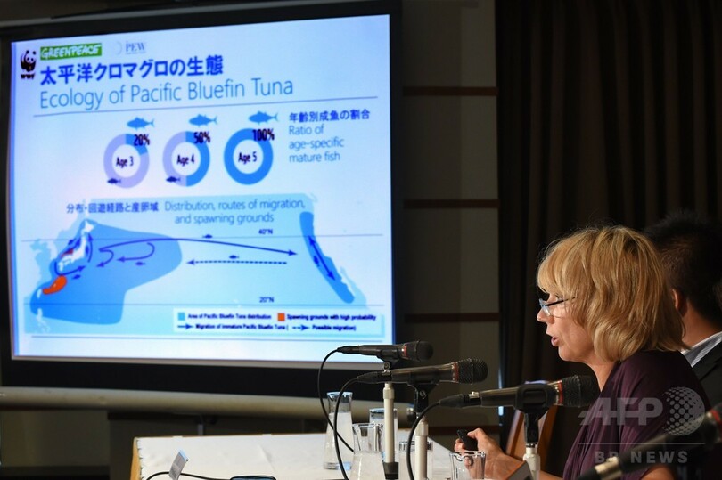 クロマグロ未成魚の漁獲量半減で合意、資源量の倍増を目指す