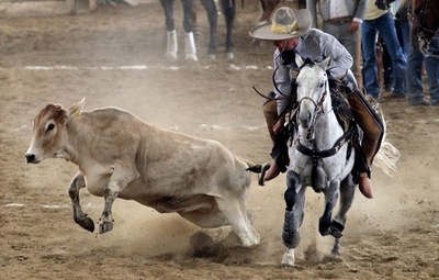 【今日の1枚】メキシコのカウボーイ「チャーロ」 記念日に美技を披露
