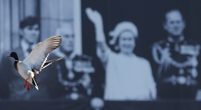 テムズ川沿いに巨大な英王室写真、高さ70メートル