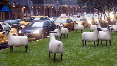 渋滞横目にのんびり？NY目抜き通りにヒツジの群れ出現