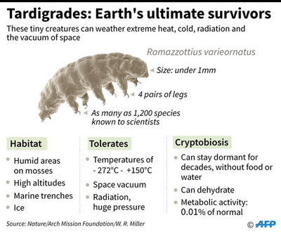 月面初の生命体としてサバイバル中？ 「最強生物」クマムシ