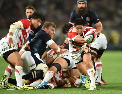 ラグビー日本、スコットランドに2連敗 天覧試合飾れず