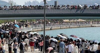 韓国・釜山にサメ見物客が殺到…滞在18日、累計100万人突破