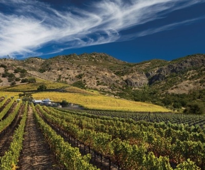 韓国新世界・ロッテがワイナリー買収の動き…市場拡大受け