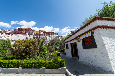 チベットの「トイレ革命」、ポタラ宮の未来は？