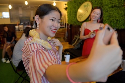 女性に人気、カンボジア初「爬虫類カフェ」