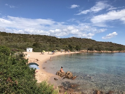  伊サルデーニャ島の石を違法に持ち出し 41キロ押収