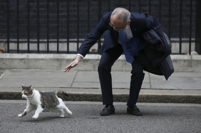 【写真特集】2018年AFPのベストショット総集編：8月