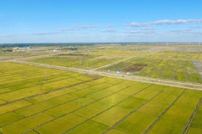 中国東北部、約4万6670ヘクタールのアルカリ性土壌改良に成功