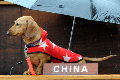 「ダックスフントの国連会議」開催、豪シドニー