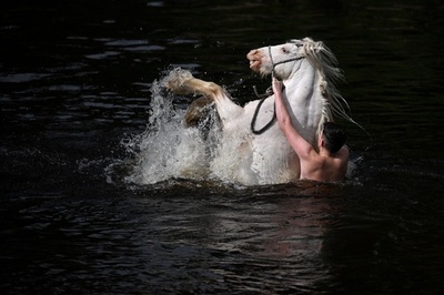 【今日の1枚】「きれいにしようね」馬の見本市 英